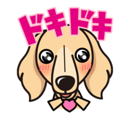 iinu - Miniature Dachshund sticker #1855557