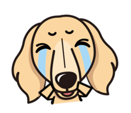 iinu - Miniature Dachshund sticker #1855558
