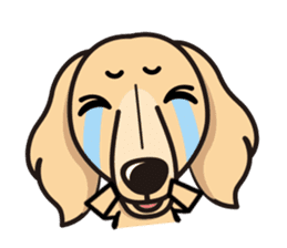 iinu - Miniature Dachshund sticker #1855558