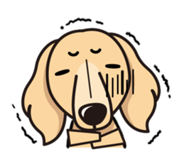 iinu - Miniature Dachshund sticker #1855559