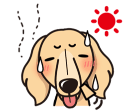 iinu - Miniature Dachshund sticker #1855560