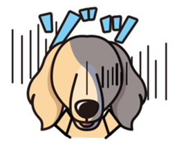 iinu - Miniature Dachshund sticker #1855563