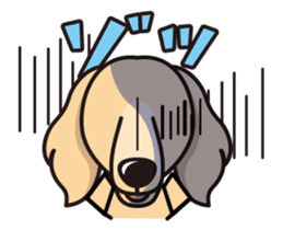 iinu - Miniature Dachshund sticker #1855563