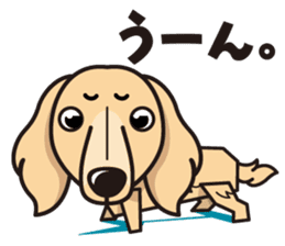 iinu - Miniature Dachshund sticker #1855566