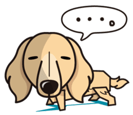 iinu - Miniature Dachshund sticker #1855567