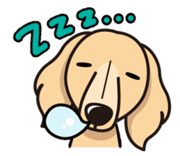 iinu - Miniature Dachshund sticker #1855568