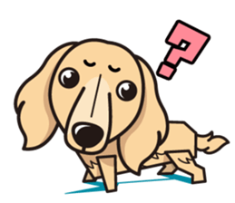 iinu - Miniature Dachshund sticker #1855570