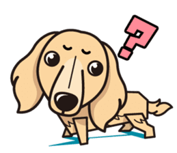 iinu - Miniature Dachshund sticker #1855570
