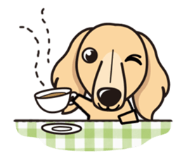 iinu - Miniature Dachshund sticker #1855574