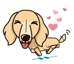 iinu - Miniature Dachshund sticker #1855575