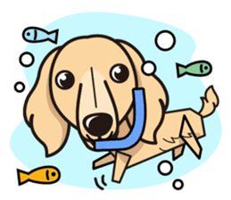 iinu - Miniature Dachshund sticker #1855577