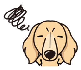 iinu - Miniature Dachshund sticker #1855580