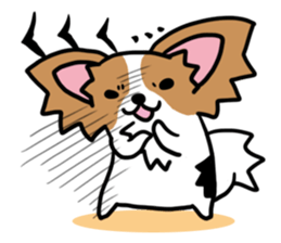 papillon "RIO" sticker #1856986