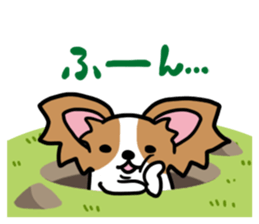 papillon "RIO" sticker #1856991