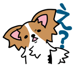 papillon "RIO" sticker #1856993