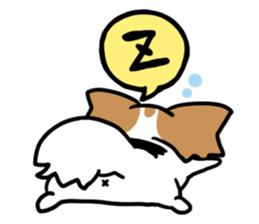 papillon "RIO" sticker #1856996