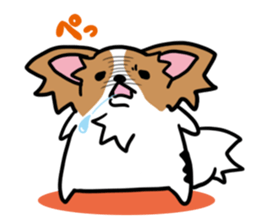 papillon "RIO" sticker #1856998