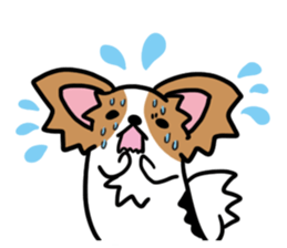 papillon "RIO" sticker #1857000