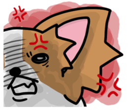 papillon "RIO" sticker #1857002