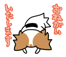 papillon "RIO" sticker #1857003