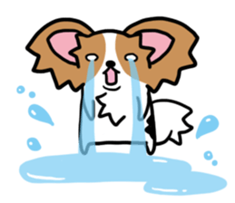 papillon "RIO" sticker #1857011