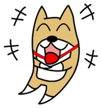 Dog wearing a Shiba Inu sticker #1862745