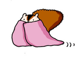 Funny Squirrel Jun sticker #1863175