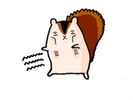 Funny Squirrel Jun sticker #1863176
