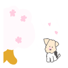 Kenpi Spring, summer, fall and winter sticker #1864581