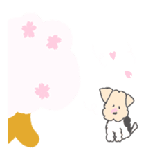 Kenpi Spring, summer, fall and winter sticker #1864581