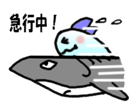 Ribbon jellyfish sticker #1867366