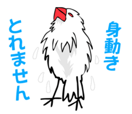 Life of Java sparrow's sticker #1872491