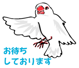 Life of Java sparrow's sticker #1872492