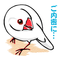 Life of Java sparrow's sticker #1872493