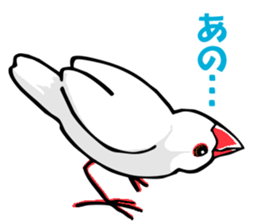 Life of Java sparrow's sticker #1872496