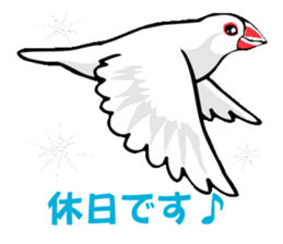 Life of Java sparrow's sticker #1872497