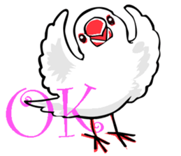 Life of Java sparrow's sticker #1872501