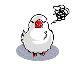 Life of Java sparrow's sticker #1872504