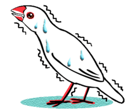 Life of Java sparrow's sticker #1872509