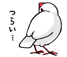 Life of Java sparrow's sticker #1872515