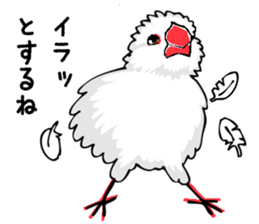 Life of Java sparrow's sticker #1872516