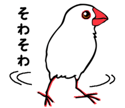 Life of Java sparrow's sticker #1872518