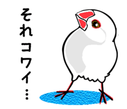 Life of Java sparrow's sticker #1872522