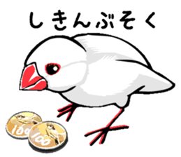 Life of Java sparrow's sticker #1872523
