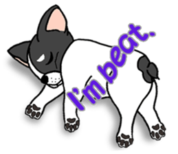 "Mametaro" of the puppy (English ver.) sticker #1874513