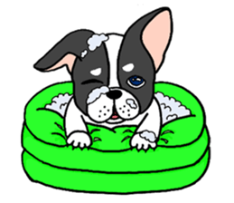 "Mametaro" of the puppy (English ver.) sticker #1874519