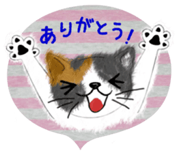 Dearest CAT sama! 2 sticker #1877454