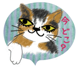 Dearest CAT sama! 2 sticker #1877462