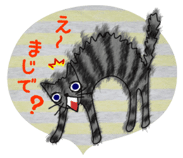 Dearest CAT sama! 2 sticker #1877477