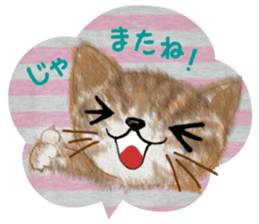 Dearest CAT sama! 2 sticker #1877489